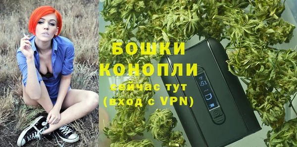 гидра Белокуриха