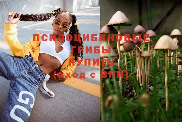 мескалин Бородино